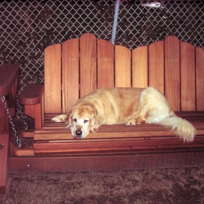 Adirondack Chain Glider (Options: Double XW, Mature Redwood, Transparent Premium Sealant). Photo Courtesy of Ms. Adelle Rosenfeld and Jack (Dog) of Peaneck, NJO.