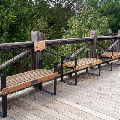 Alameda Wooden Bench (Options: 4 ft, California Redwood, No Cushion, No Engraving, Custom Plaque, Semi-Transparent Stain). Comment: Photo Courtesy of the Oklahoma Zoological Society. Finish is faded somewhat because benches have been out in the weather for nearly 2 years.