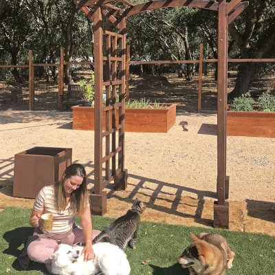 Arched Garden Arbor (Options: 48" W x 36" D, Old-Growth Redwood, No Anchor Kit, Transparent Premium Sealant). Photo taken 5 years after installation. Photo Courtesy of A. Linney of Alameda, California.