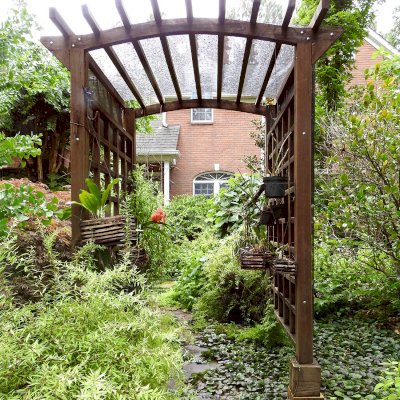 Arched Garden Arbor (Options: 48" W x 60" D, Mature Redwood, Anchor Kit for Concrete, Transparent Premium Sealant). Photo Courtesy of S. Fly of Millsboro, Delaware.