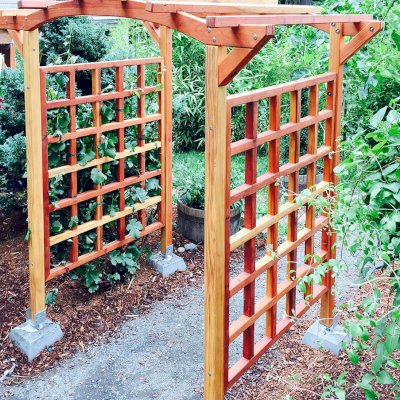 Arched Garden Arbor (Options: 48" W x 60" D, California Redwood, No Anchor Kit, Transparent Premium Sealant). Photo Courtesy of Evelyn and Dan Martin of Poulsbo, Washington.