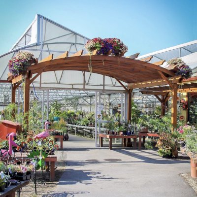Arched Open Sky Pergolas (Options: 15' L x 18' Arc W - Left, 8' L x 10" Arc W - Right, Mature Redwood, Unattached, Transparent Premium Sealant). Photo Also Shows a Custom Arbor Between the 2 Arched Pergolas. Photo Courtesy of Caras Nursery and Landscape