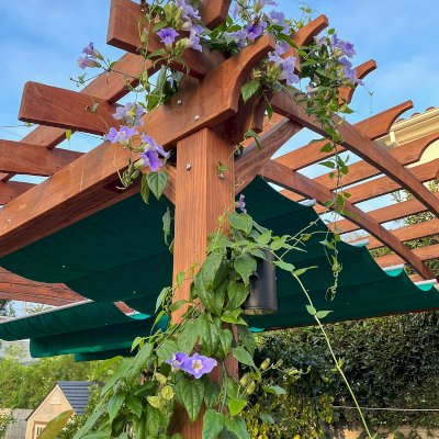 Arched Open Sky Pergolas (Options: 18' L x 15' Arc W, Douglas-fir, Unattached, No Electrical Wiring Trim, 4-Post Anchor Kit for Concrete, No Ceiling Fan Base, No Privacy Panels, No Curtain Rods, 9.5' Post Height, Transparent Premium Sealant). Photo Courtesy of K. Jeffers of Santa Monica, CA.