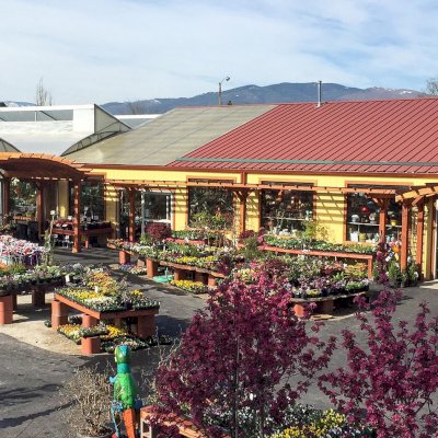 Arched Open Sky Pergolas (Options: 15' L x 18' Arc W - Left, 8' L x 10" Arc W - Right, Mature Redwood, Unattached, Transparent Premium Sealant). Photo Also Shows a Custom Arbor Between the 2 Arched Pergolas. Photo Courtesy of Caras Nursery and Landscape