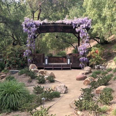 Arched Pergola Kits (Options: 18' x 18', Mature Redwood, 3 Degree Roof Slope by Custom Request, with Deck and Railing by Custom Request, with a Bench Swing Seat). Photo taken 6 years after initial installation. Photo Also Shows a Custom Storage Bench. Photo Courtesy of Bob P. of Westlake Village, CA.