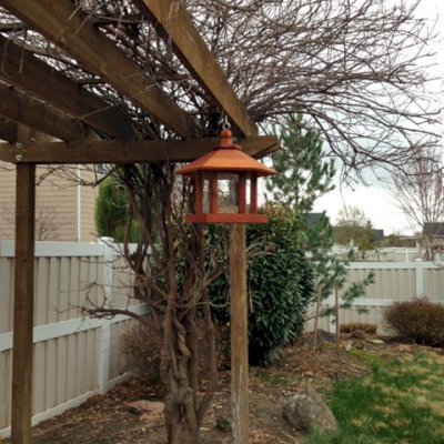 Aviary Oasis Bird Feeders (Options: Old-Growth Redwood, XW Roof Eaves, Transparent Premium Sealant).  Photo Courtesy of Marilyn Brooks of Star, Idaho.