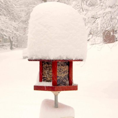 Aviary Oasis Bird Feeders (Options: Old-Growth Redwood, Standard Roof Eaves, Cherry Stain). Photo Courtesy of Mr. Rod Levine.