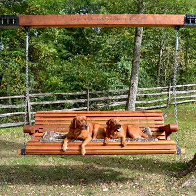 Bench Swings (Seats Only) (Options: XL Garden Bench, California Redwood, Ensenada Seat Design, Custom Engraving, Custom Heavy Duty Hinged Steel Harnesses with a 6x6 Beam, Transparent Premium Sealant). Custom Tree Rings and Beam Designed by Forever Redwood to Attach Swing to the 2 Trees. Photo Courtesy of P. Scaturro of Bedford, New York.