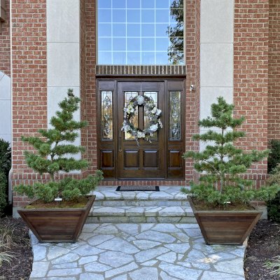 Bonsai Planters (Options: 20" at base, 36" at top, 20" H, Old-Growth Redwood, Standard Base, No Growing Vegetables, Transparent Premium Sealant). Photo Courtesy of B. Egbert of Dayton, OH.