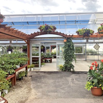 Custom Wooden Pergola (Options: Mature Redwood, Transparent Premium Sealant). Photo Courtesy of Caras Nursery & Landscape in 2727 South 3rd West, Missoula, Montana.