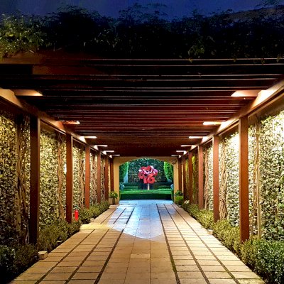 Custom Wooden Pergola (Options: Old-Growth Redwood, Transparent Premium Sealant). Roof for a Museum in Mexico City, Mexico. Photo was taken after 10 years of installation.