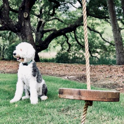 Disk Swing Seats (Options: XL Adult's 18-Inch, Mature Redwood, 1" Diameter Hole for Rope, Transparent Premium Sealant). Photo Courtesy of Gabrielle Herman of Daniel Island, South Carolina.