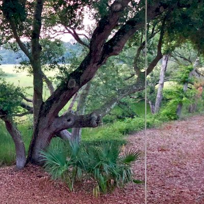Disk Swing Seats (Options: XL Adult's 18-Inch, Mature Redwood, 1" Diameter Hole for Rope, Transparent Premium Sealant). Photo Courtesy of Gabrielle Herman of Daniel Island, South Carolina.