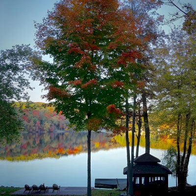 Dream Gazebos (Options: 7ft Wall Height, 10' L, 14' W, Mature Redwood, All Sliding Windows with Screens, Without Skylight, 24" H Siding Below Windows, Horizontal Siding, French Doors, Complete Floor, Set of Shingles, Transparent Premium Sealant). Photo Courtesy of Gail Edelman of Rockaway NJ.