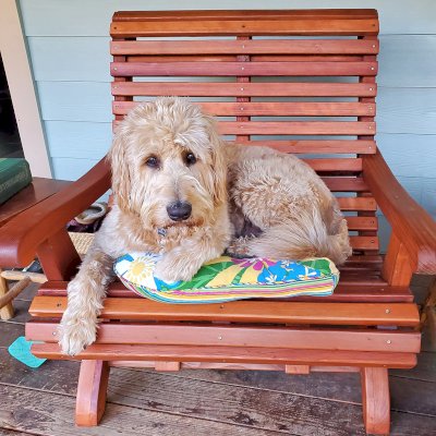 Ensenada Wood Easy Chair (Options: Extra Wide, Mature Redwood, No Cushion, Without Ottoman, Transparent Premium Sealant). Photo Courtesy of P. White of Paynes Creek, CA.