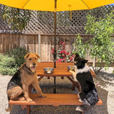 Forever Picnic Table (Attached Benches) (Options: 5' L x 34 ½" W, California Redwood, Standard Tabletop, 2" Umbrella Hole, Rounded Corners, Transparent Premium Sealant). Photo Courtesy of C. Albert of Carpinteria, CA.