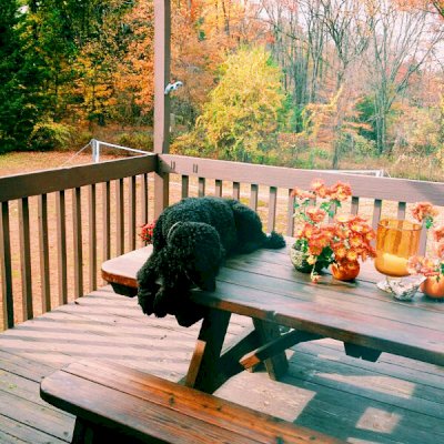 Forever Picnic Tables (Unattached Benches) (Options: 6' L, 34 ½in W, Side Benches, Mature Redwood, 1 Full Length Side Benches Per Side, Forever Style Benches, Standard Tabletop, Rounded Corners, No Umbrella Hole, Transparent Premium Sealant). Photo Courtesy of Angela Gomez of Simsbury, Connecticut.