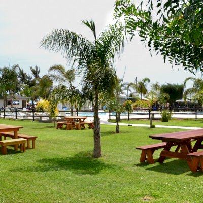 Forever Picnic Tables (Unattached Benches) (Options: 8' L, 34 ½in W, Side Benches, Old-Growth Redwood, 1 Full Length Side Benches Per Side, Standard Tabletop, Slightly Rounded Corners, No Umbrella Hole, Transparent Premium Sealant). 