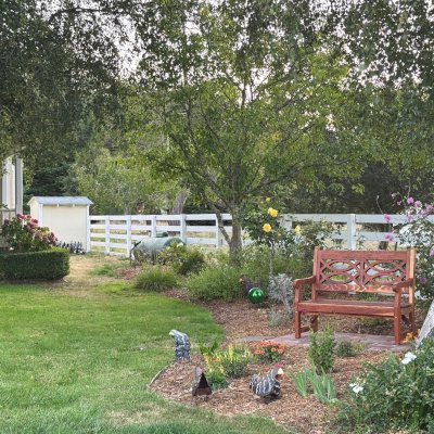 Hennell Wooden Garden Bench (Options: 4 ft, California Redwood, No Cushion, Custom Engraving, Transparent Premium Sealant). Photo Courtesy of T. Sackett of Sebastopol, CA.
