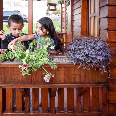 Kid's The Backyard Cabin (Options: 12ft L x 8ft W, 7ft Wall H, Douglas-Fir, 4ft Front Porch Size [Included in the Overall Length], Interior Decking, Transparent Premium Sealant). Photo shows structure recently resealed after 6 years of loving service.
