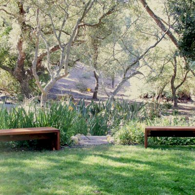 Maynard Garden Bench (Options: 8 ft x 17 3/4 inches W x 17 inches H, Old-Growth Redwood, No Cushion, No Engraving, Transparent Premium Sealant).