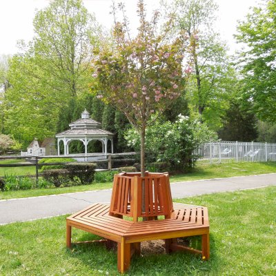 Memorial Natural Redwood Tree Bench (Options: 7 ft, California Redwood, No Beverage Ledge, No Cushions, Custom Engraving, Transparent Premium Sealant). Photo Courtesy of Virginia Sarvalon & Canaan Ridge School of Stamford, Connecticut.