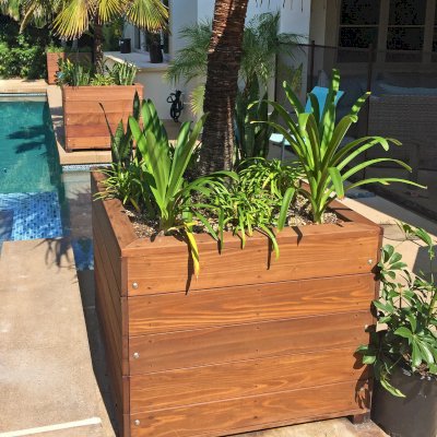 Mendocino Planters (Options: 36'' L, 36'' W x 30'' H, Mature Redwood, 1 3/4-inch Feet, No Trellis, Interior and Exterior of Box with Sealant (No Growing Vegetables), Coffee-Stain Premium Sealant). Photo Courtesy of P. Schissler of San Clemente, California.