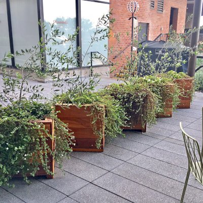 Mendocino Planters (Options: 24'' L, 24'' W x 24'' H, California Redwood, 1 3/4-inch Feet, No Trellis, Interior and Exterior of Box with Sealant (No Growing Vegetables), Transparent Premium Sealant). Photo Courtesy of Waxman's Pizzeria in Ghirardelli Square, 900 North Point Street, San Francisco, CA, 94109.