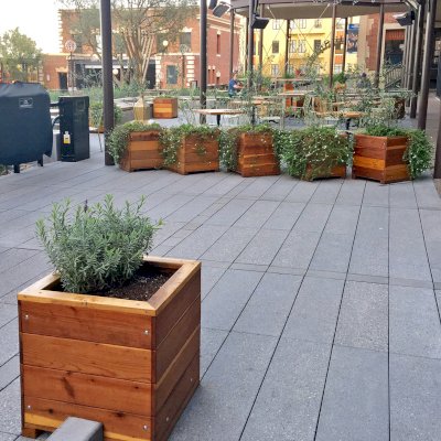 Mendocino Planters (Options: 24'' L, 24'' W x 24'' H, California Redwood, 1 3/4-inch Feet, No Trellis, Interior and Exterior of Box with Sealant (No Growing Vegetables), Transparent Premium Sealant). Photo Courtesy of Waxman's Pizzeria in Ghirardelli Square, 900 North Point Street, San Francisco, CA, 94109.