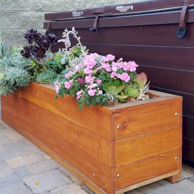 Custom Mendocino Planter (Options: 60'' L x 18'' W x 18'' H, California Redwood, Interior and Exterior of Box With Sealant, Transparent Premium Sealant). Photo Taken 2 Years After Installation. Photo Courtesy of J. Fleming of Inglewood, California.