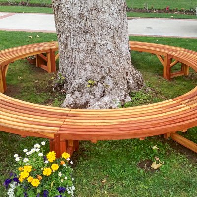 Custom Miramar Half Circle Tree Bench (Options: 12 ft [Full Circle by Custom Request], California Redwood, Transparent Premium Sealant). Photo Courtesy of R. Ann of Santa Ana, CA. If you would like to order a full circle version, please just order 2!