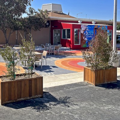 Napa PlantersNapa Planters (Options: 48'' L x 24'' W x 24'' H, California Redwood, 1-inch Feet, Transparent Premium Sealant). Photo Taken 1 Year After Installation. Photo Courtesy of D. Frans of Shafter, CA.