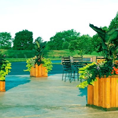 Napa Planters (Options: 24'' L x 24'' W x 24'' H and 96'' L x 24'' W x 24'' H, Mature Redwood, No Base, No Trellis, Interior and Exterior of Box with Sealant (No Growing Vegetables), Transparent Premium Sealant). Photo Courtesy of Shane Ritchie of Schaumburg, Illinois.