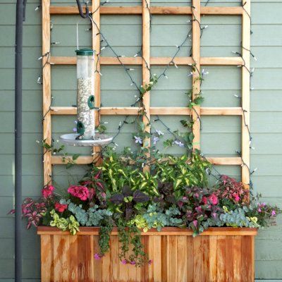 Napa Planters (Options: 48'' L x 15'' W x 15'' H, California Redwood, with Casters, with 5' Tall Trellis, Interior and Exterior of Box with Sealant (No Growing Vegetables), Transparent Premium Sealant). Photo taken 12 years after installation. Photo Courtesy of L. Serebin of Madison, WI.