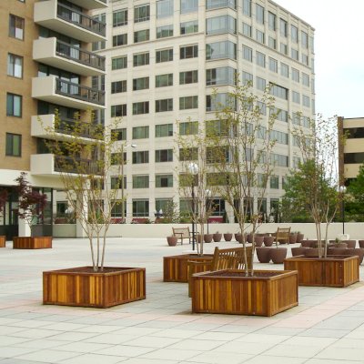 Napa Planters (Options: 48'' L x 48'' W x 24'' H, California Redwood, Add 1 inch feet, No Trellis, Interior and Exterior of Box with Sealant (No Growing Vegetables), Transparent Premium Sealant). Photo courtesy of Eugene K. of Arlington, Virginia.