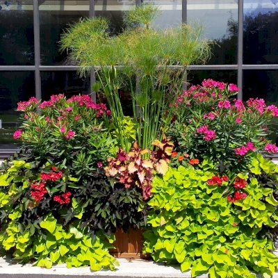 Napa Planters (Options: 96'' L x 24'' W x 24'' H, Mature Redwood, No Base or Casters, No Trellis, Interior and Exterior of Box with Sealant (No Growing Vegetables), Transparent Premium Sealant). Photo Courtesy of Shaumberg Park Shaumberg, IL