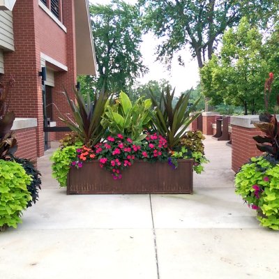 Napa Planters (Options: 96'' L x 24'' W x 24'' H, Mature Redwood, No Base or Casters, No Trellis, Interior and Exterior of Box with Sealant (No Growing Vegetables), Transparent Premium Sealant). Photo Courtesy of Shaumberg Park Shaumberg, IL. This box was over 6 years old when photographed and has had additional coats of brown stain added (not standard finish).