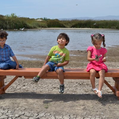 Parquet Wooden Bench (Options: 8 ft L x 17 3/4 inches W x 18 1/2 inches H, Old-Growth Redwood, No Cushion, No Engraving, Transparent Premium Sealant). Photo courtesy of Hernandez Family. 