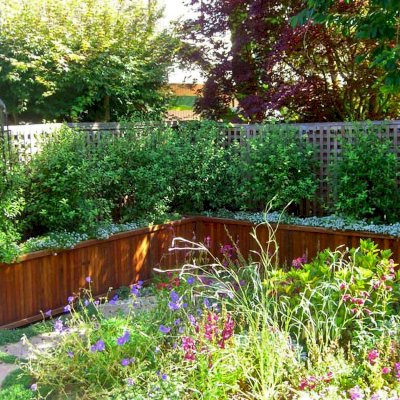 Napa Planters (Options: 144'' L x 24'' W x 24'' H, Mature Redwood, No Base or Casters, No Trellis, Interior and Exterior of Box with Sealant (No Growing Vegetables), Transparent Premium Sealant).