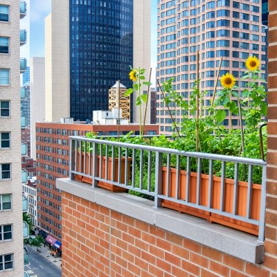 Napa Planters over Manhattan (Options: Mature Redwood, 15 inches tall, various lengths). Photo Courtesy of Scott and Meenakshi Baker of New York City.