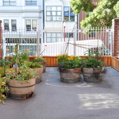 Napa Planters (Options: 60'' L x 18'' W x 24'' H, California Redwood, Add 1 inch feet, No Trellis, Interior and Exterior of Box with Sealant (No Growing Vegetables), Transparent Premium Sealant). Photo Courtesy of School John Yehall Chin of San Francisco.