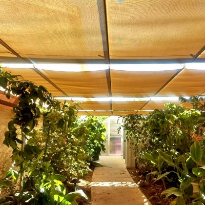 Custom Retractable Canopy Pergola (Options: 23' L x 12.5' W, Custom Lattice Entryway, California Redwood, 8.5 ft Post Height, No Electrical Wiring Trim, No Ceiling Fan Base, No Curtain Rods, Post Anchor Kit for Concrete, Transparent Premium Sealant). Photo Courtesy of D. Morris of Phoenix, Arizona.