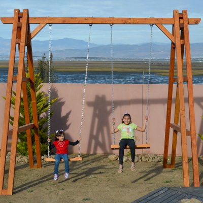 Rory's Giant Playground Swing Sets (Options: 2 Seats, Douglas-fir, Standard Swing Seats, Transparent Premium Sealant).