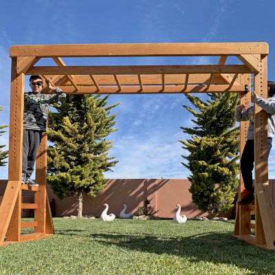 Sheldon's Monkey Bars (Options: 8 ft H, 9 ft L, Douglas-fir, Standard Step Option, Transparent Premium Sealant).
