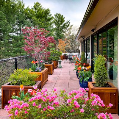 Sonoma Planters (Options: Various Sizes, California Redwood, No Sitting Ledge, Add 1-inch feet, No Trellis, Interior and Exterior of Box with Sealant (No Growing Vegetables), Transparent Premium Sealant). Photo Courtesy of Donna & David Gage of Arlington, VA.
