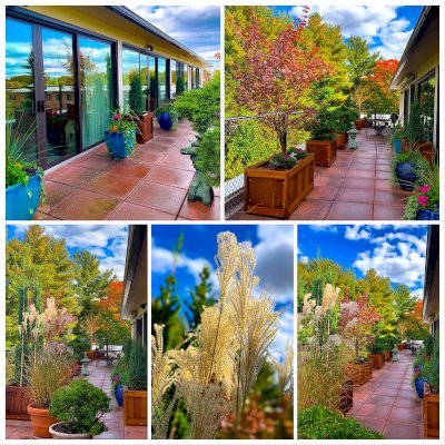 Sonoma Planters (Options: Various Sizes, California Redwood, No Sitting Ledge, Add 1-inch feet, No Trellis, Interior and Exterior of Box with Sealant (No Growing Vegetables), Transparent Premium Sealant). Photo Courtesy of Donna & David Gage of Arlington, VA.