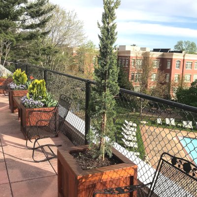 Sonoma Planters (Options: Various Sizes, California Redwood, No Sitting Ledge, Add 1-inch feet, No Trellis, Interior and Exterior of Box with Sealant (No Growing Vegetables), Transparent Premium Sealant). Photo Courtesy of Donna & David Gage of Arlington, VA.