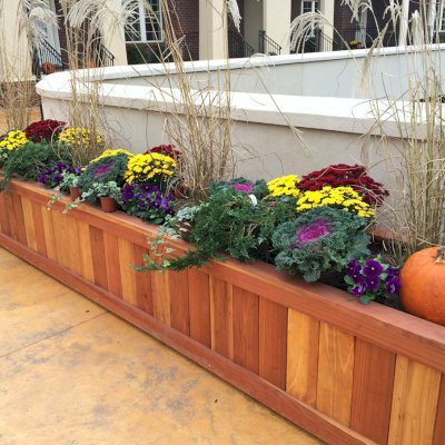 Sonoma Planters (Options: 120" L x 30" W x 24" H, California Redwood, No Sitting Ledge, Add 1-inch feet, No Trellis, Interior and Exterior of Box with Sealant (No Growing Vegetables), Transparent Premium Sealant). Photo Courtesy of Roxanne Giordano of New Rochelle, NY.