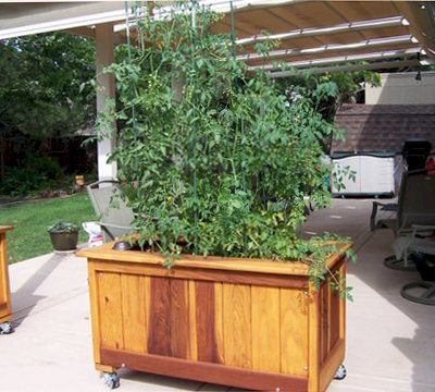 Sonoma Planters (Options: 48" L, 24" W x 24" H, California Redwood, Add Seating Ledge, 4 Casters, No Trellis, Interior and Exterior of Box with Sealant (No Growing Vegetables), Transparent Premium Sealant). Photo Courtesy of Larry Weller of Arvada, CO.