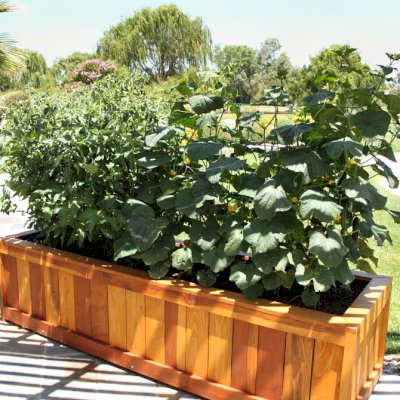 Sonoma Planters (Options: 96" L, 30" W x 24" H, California Redwood, No Seating Ledge, 1-inch Feet, No Trellis, Interior and Exterior of Box with Sealant (No Growing Vegetables), Transparent Premium Sealant). Photo Courtesy of Samuel P. of Atascadero, CA.
